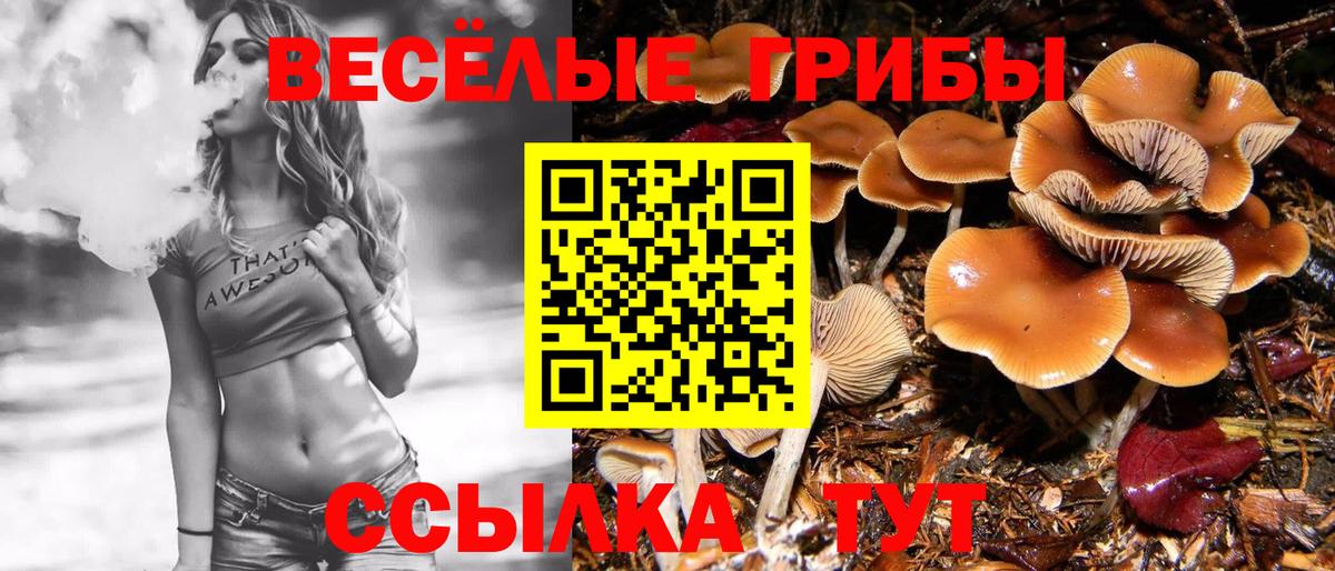 Галлюциногенные грибы MAGIC MUSHROOMS Когалым